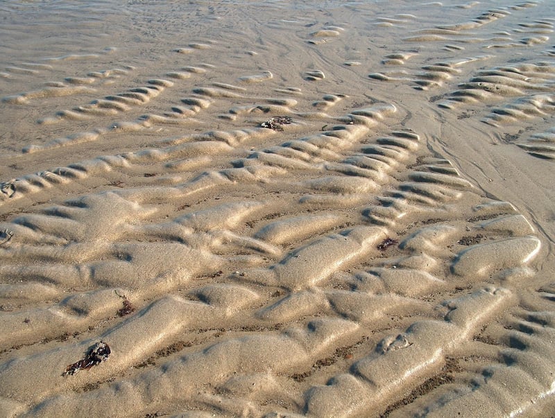 Stuffed Bell Peppers